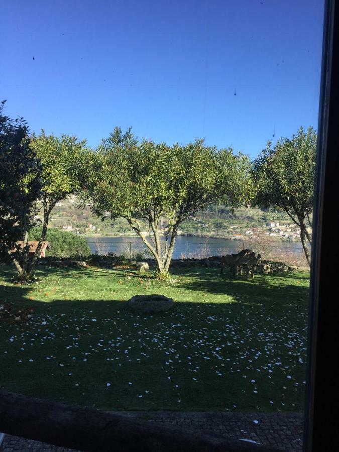Отель Quinta Da Ventuzela Синфайнш Экстерьер фото